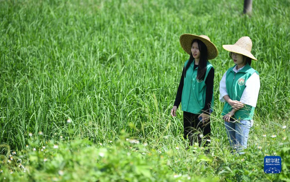 澳门新葡东下载